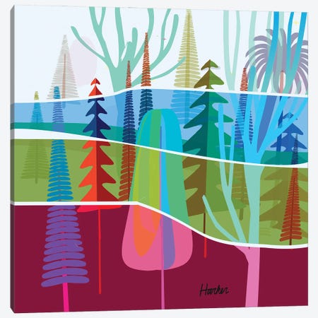 Torrey Pines Canvas Print #HRK280} by Charles Harker Canvas Art Print