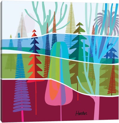 Torrey Pines Canvas Art Print - Charles Harker