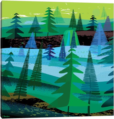 Big Sur Forest Canvas Art Print - Charles Harker