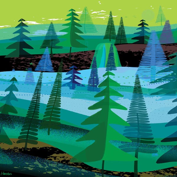 Big Sur: Big Sur Forest by Charles Harker