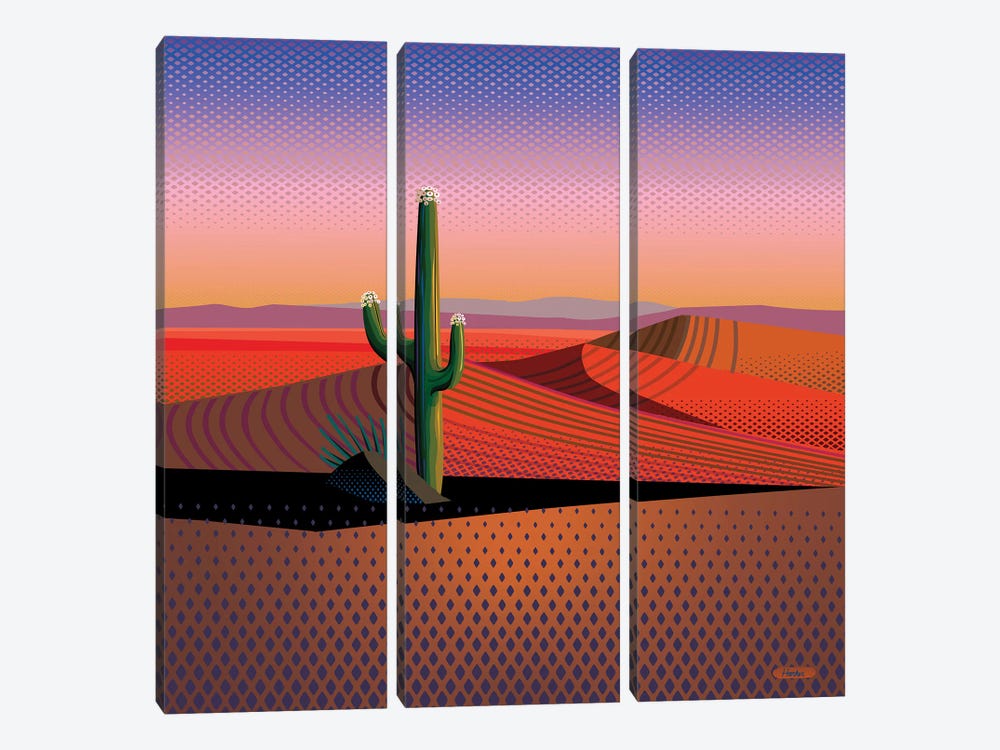 Saguaro Spiritual by Charles Harker 3-piece Art Print