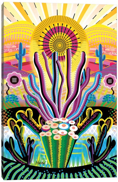 Mojave Tea Box Canvas Art Print - Cactus Art