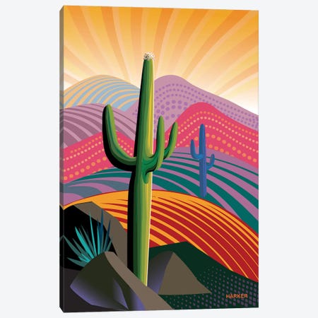 Saguaro Rising Canvas Print #HRK321} by Charles Harker Canvas Artwork