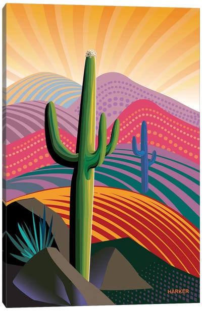 Saguaro Rising Canvas Art Print - Charles Harker