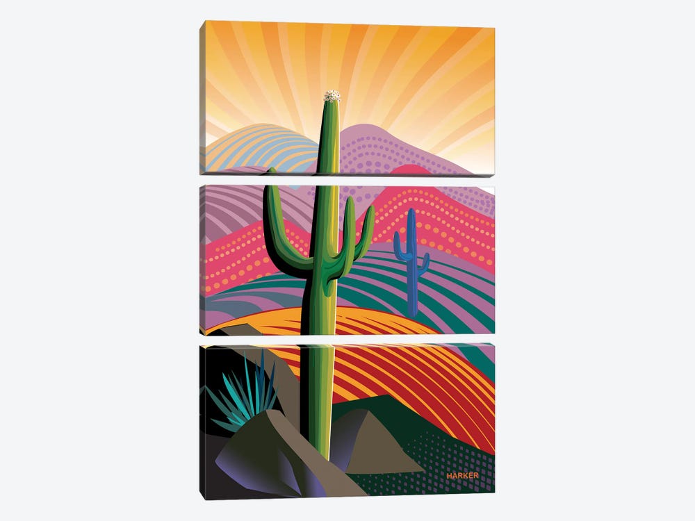 Saguaro Rising by Charles Harker 3-piece Canvas Wall Art