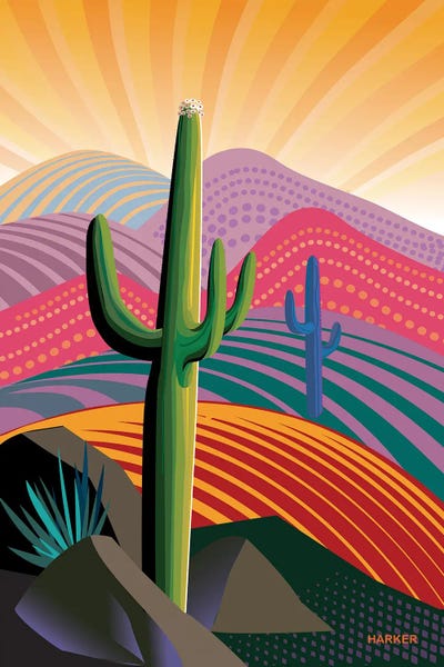 Charles Harker: Saguaro Rising by Charles Harker