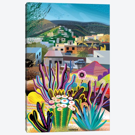 Lomas Del Paraiso Canvas Print #HRK323} by Charles Harker Canvas Art