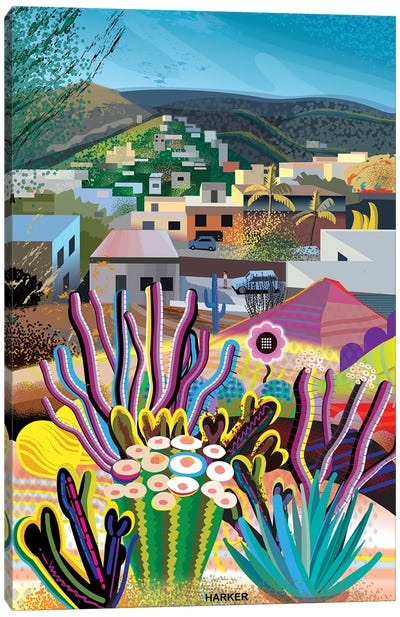 Lomas Del Paraiso Canvas Art Print - Peru Art