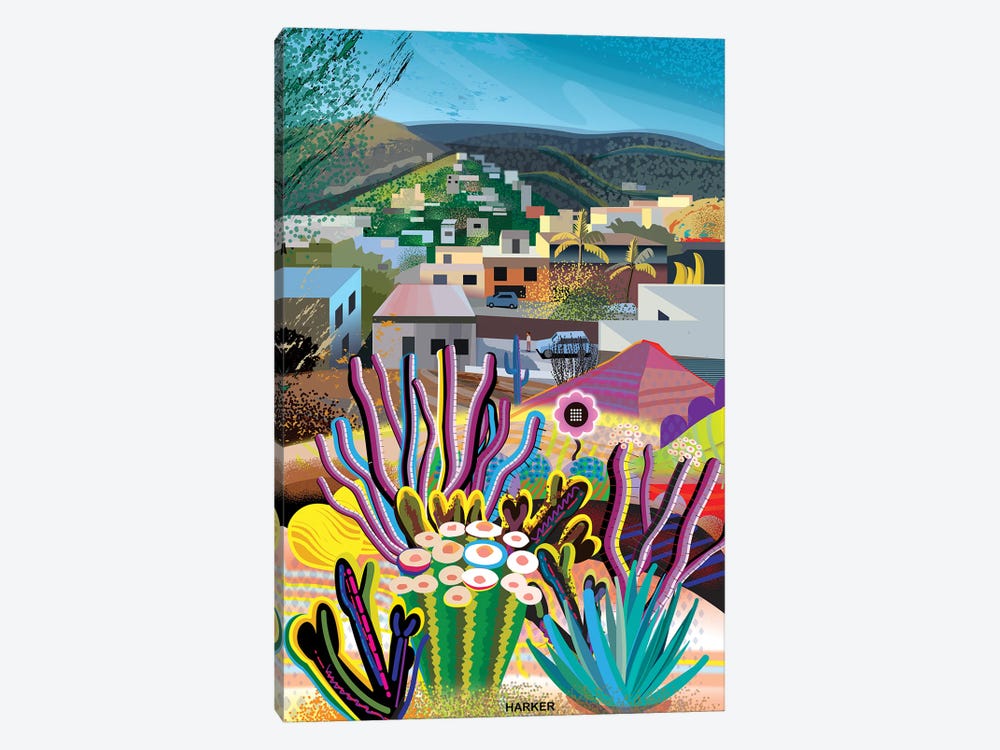 Lomas Del Paraiso by Charles Harker 1-piece Canvas Wall Art