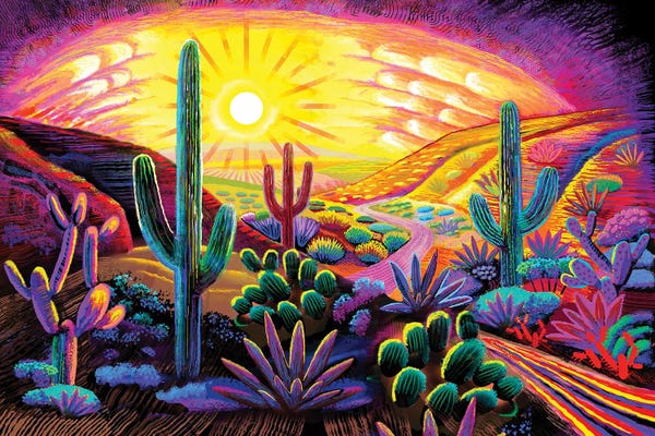 Saguaro National Park: Desert In A Dream by Charles Harker