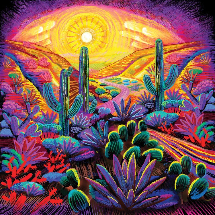 Saguaro Park Fantasy