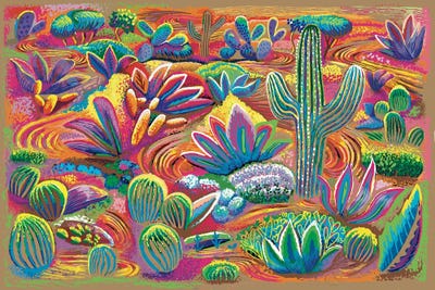 Succulents