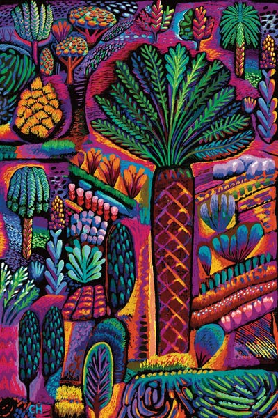 Jungles: Mulege Oasis by Charles Harker