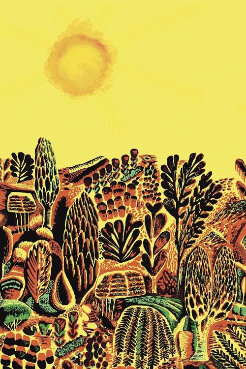 Sun Over The Bush