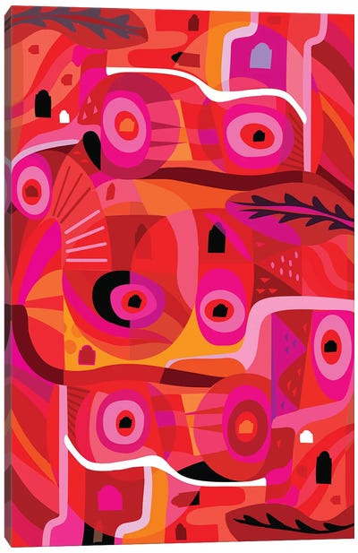 Rosa Mexicana  Canvas Art Print - Abstract Shapes & Patterns