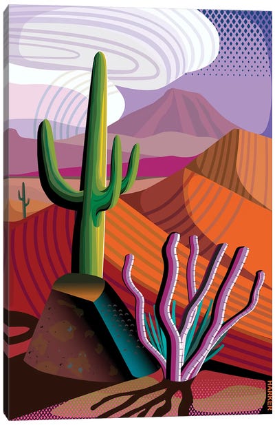 Gila River Reserve Canvas Art Print - Cactus Art