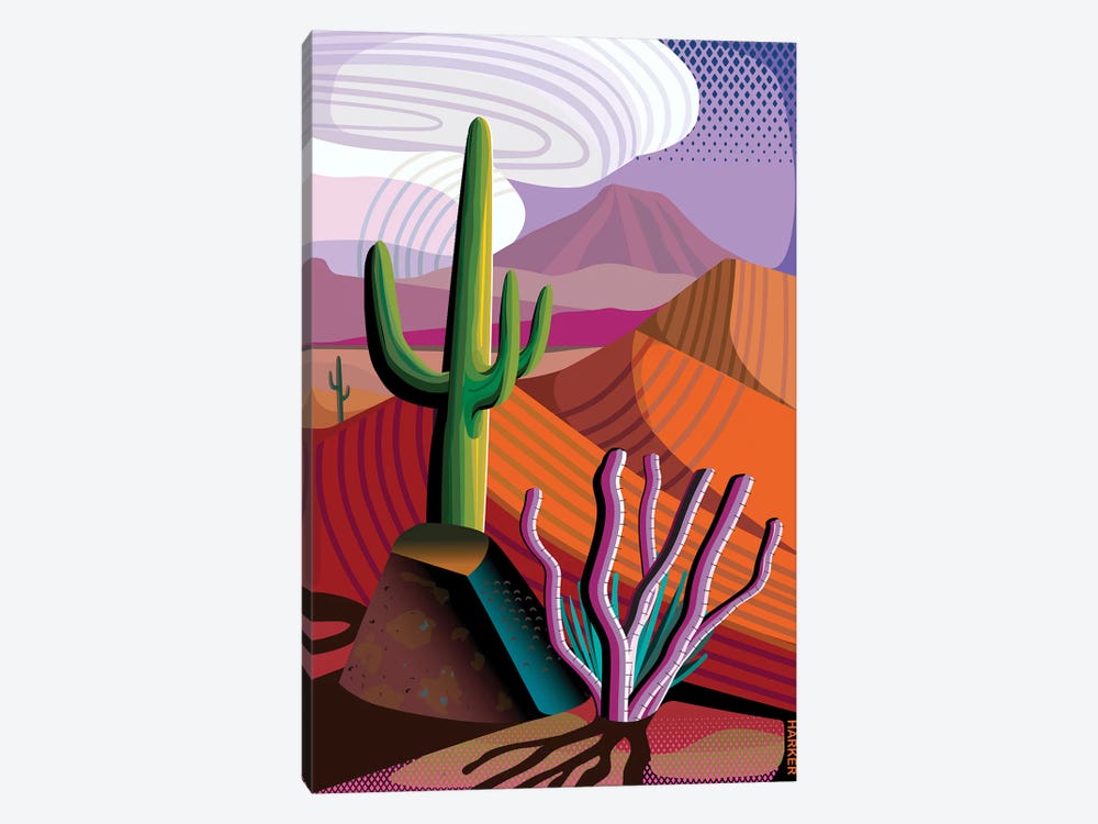 Gila River Reserve by Charles Harker 1-piece Canvas Print