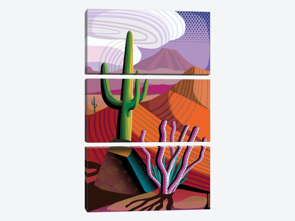 Gila River Reserve by Charles Harker 3-piece Canvas Art Print