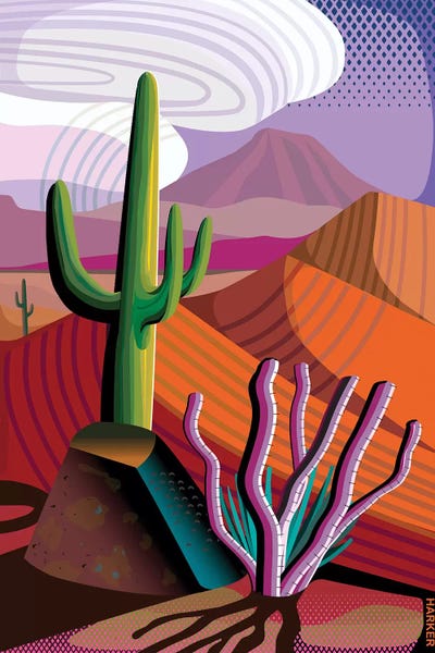 Succulents: Gila River Reserve by Charles Harker