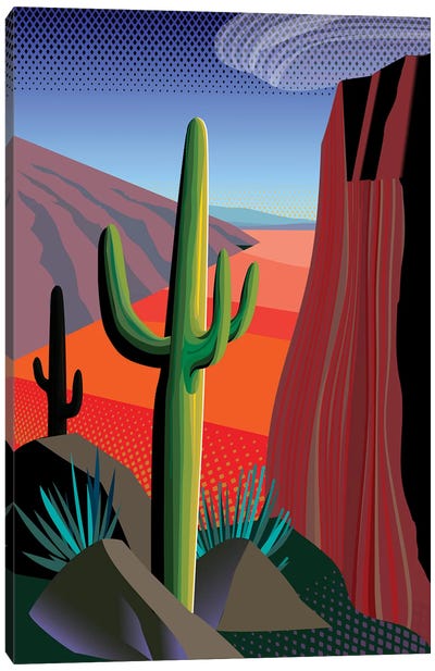 Gringo Pass Canvas Art Print - Charles Harker