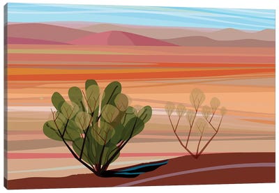 Mojave Desert, Horizontal Canvas Art Print - Cactus Art