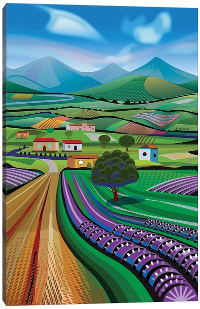 Avocado Hills Canvas Art Print - Charles Harker
