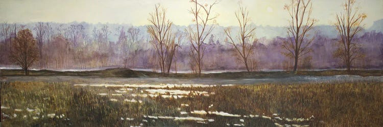 Hazelmere Forest