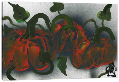 Pumpkins Canvas Art Print - Andrew Harr