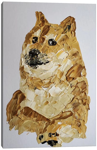 Doge Canvas Art Print - Andrew Harr