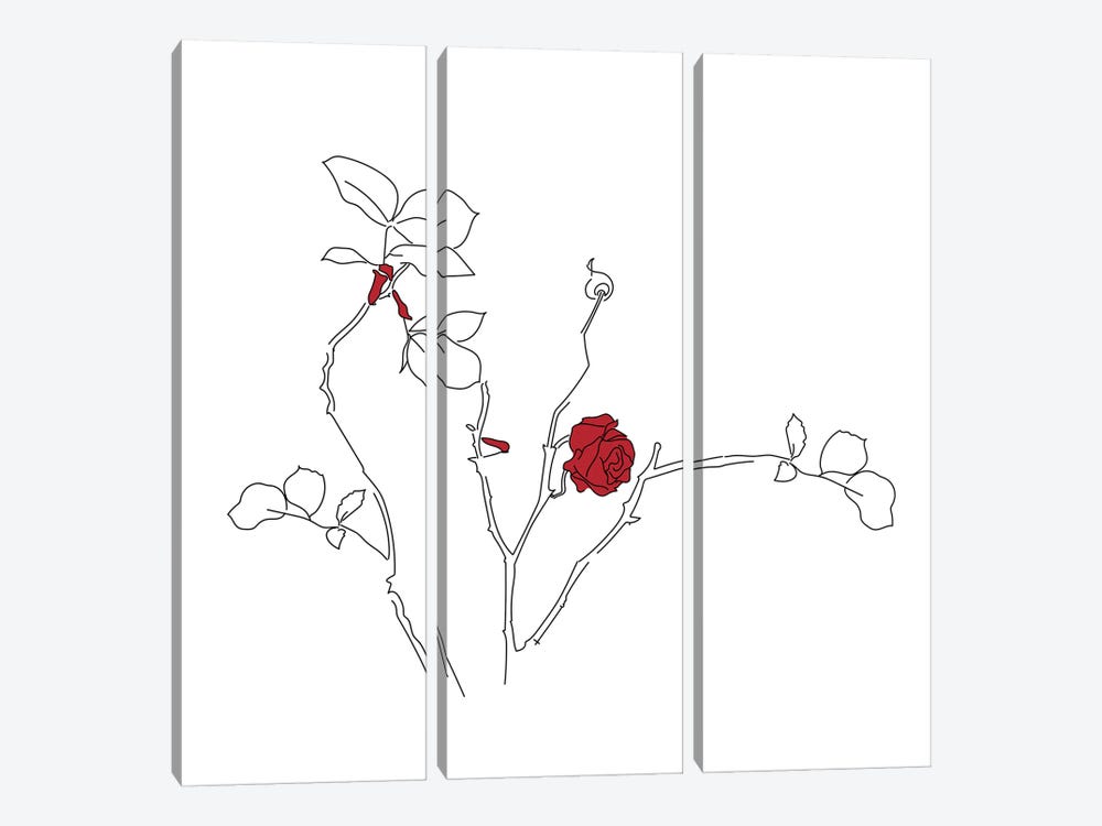 One red rose by Antonia Harris 3-piece Canvas Print