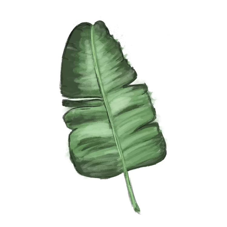 Leaves of the Tropics I by hartworks wall art