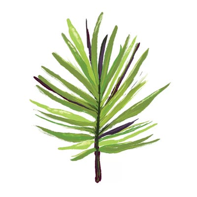 Leaves of the Tropics III by hartworks canvas print