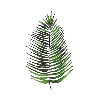 Leaves of the Tropics IV by hartworks canvas print