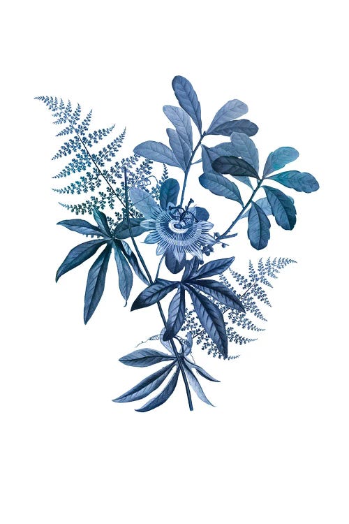 Indigo Flower Dream by Andrea Haase wall art