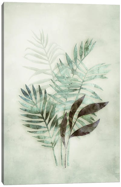 Tropical Night III Canvas Art Print - Andrea Haase