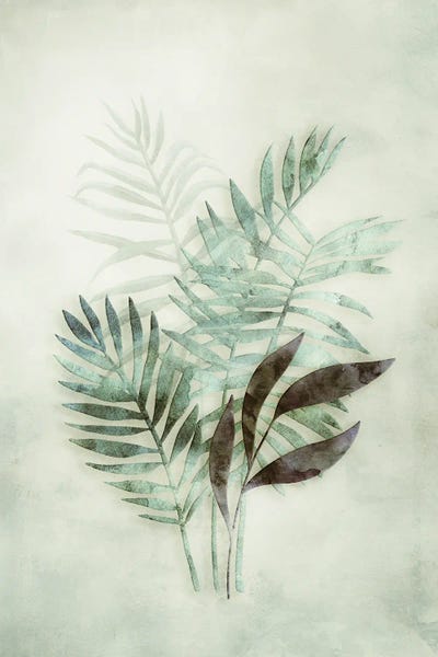 Andrea Haase: Tropical Night III by Andrea Haase