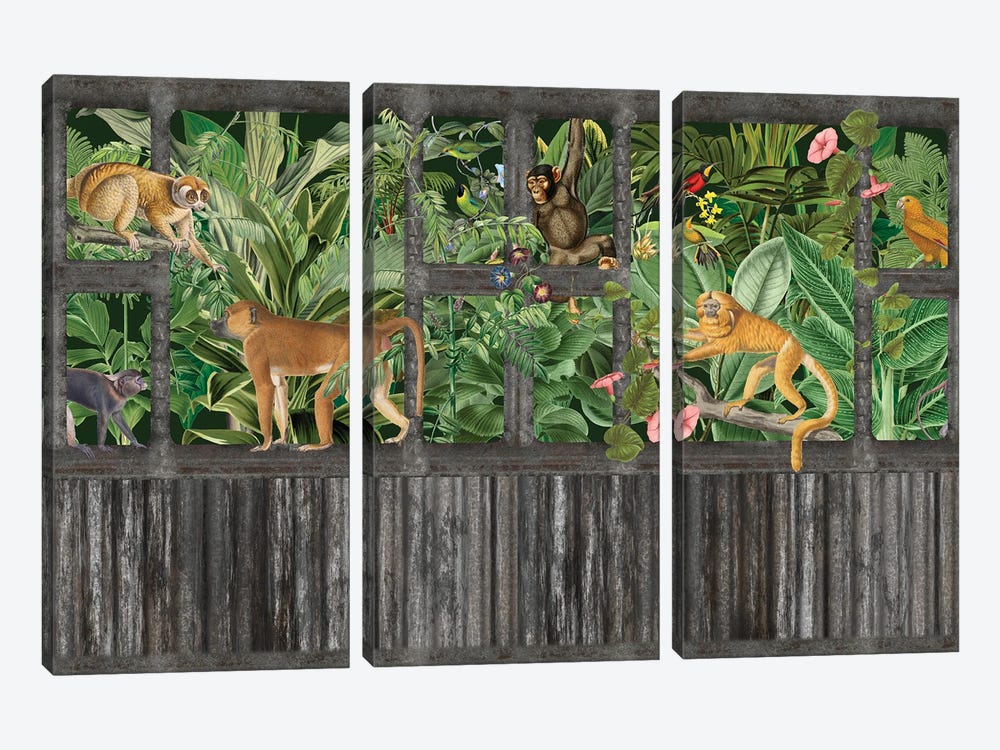 Lost Jungle Palace (Monkeys) by Andrea Haase 3-piece Canvas Art
