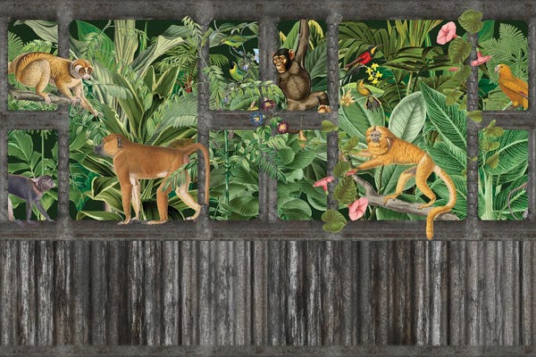 Andrea Haase: Lost Jungle Palace (Monkeys) by Andrea Haase