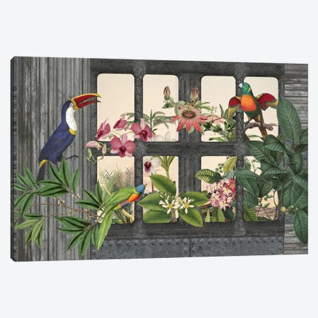 Lost Paradise (Birds) Canvas Print #HSE138} by Andrea Haase Canvas Wall Art