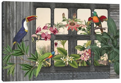 Lost Paradise (Birds) Canvas Art Print - Andrea Haase