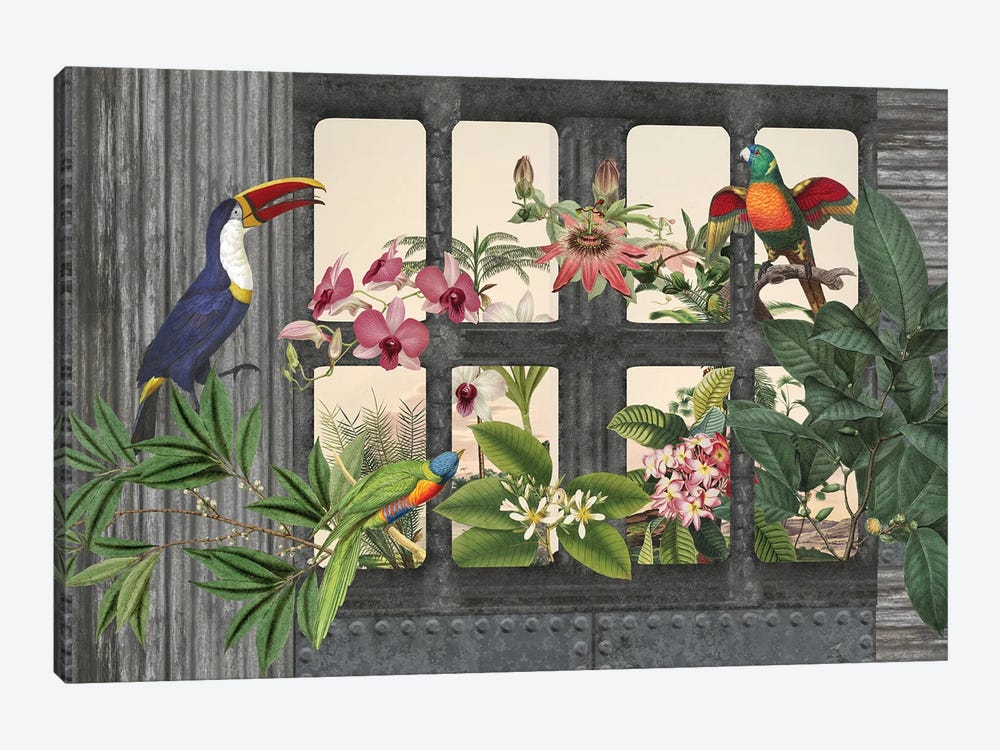 Lost Paradise (Birds) by Andrea Haase 1-piece Canvas Print