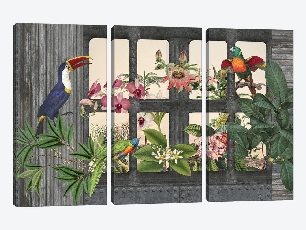 Lost Paradise (Birds) by Andrea Haase 3-piece Canvas Print