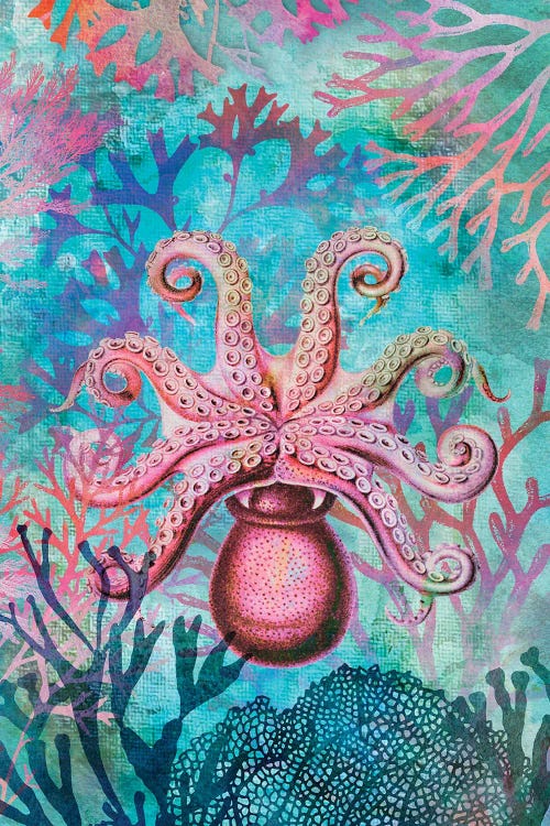 Octopus Paradise by Andrea Haase wall art