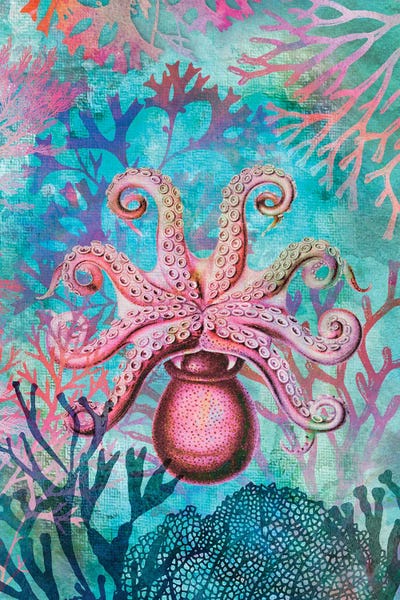 Andrea Haase: Octopus Paradise by Andrea Haase