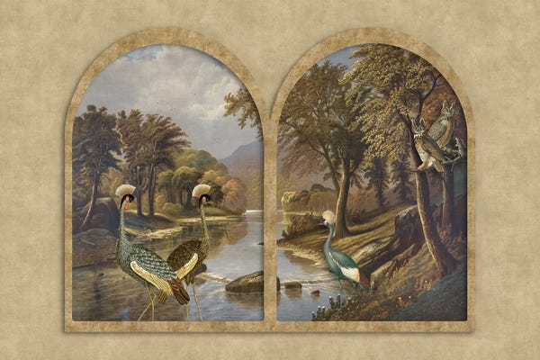 Andrea Haase: River With Cranes by Andrea Haase