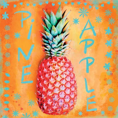 Summer Pineapple by Andrea Haase art print