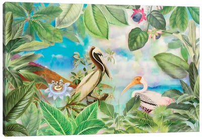 Tropical Paradise Canvas Art Print - Andrea Haase