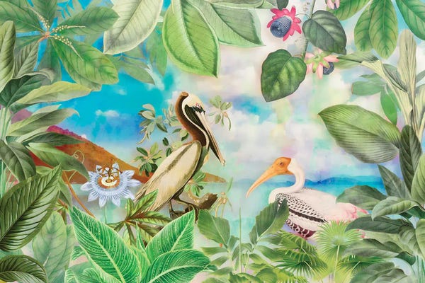 Andrea Haase: Tropical Paradise by Andrea Haase