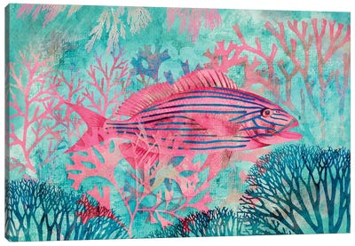 Underwater Paradise Canvas Art Print - Coral Art