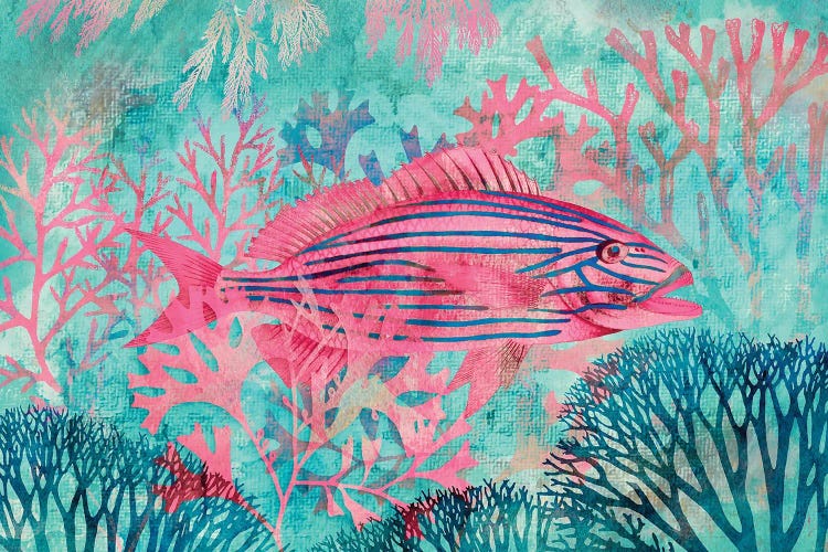 Underwater Paradise by Andrea Haase wall art